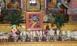 43rd Birth Anniversary