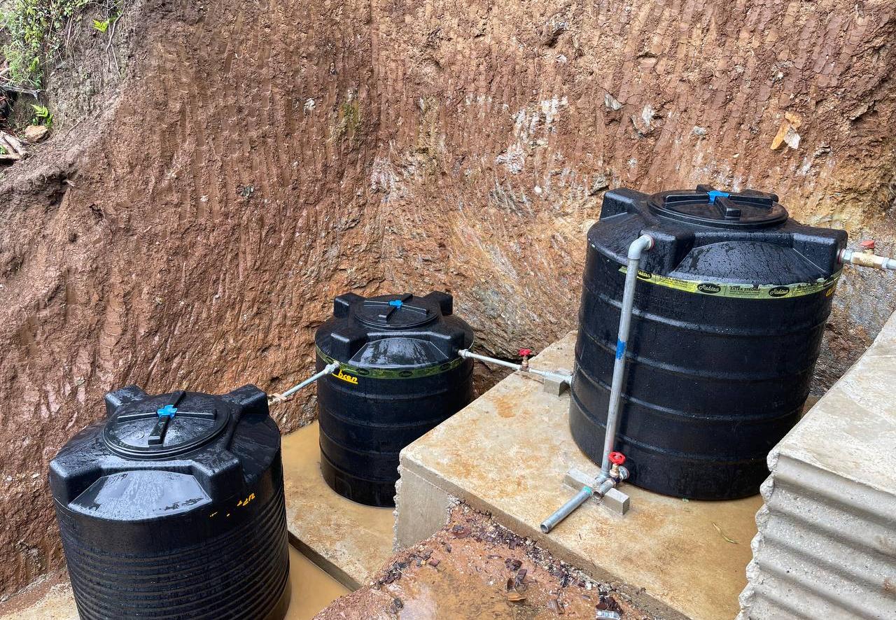 rain water